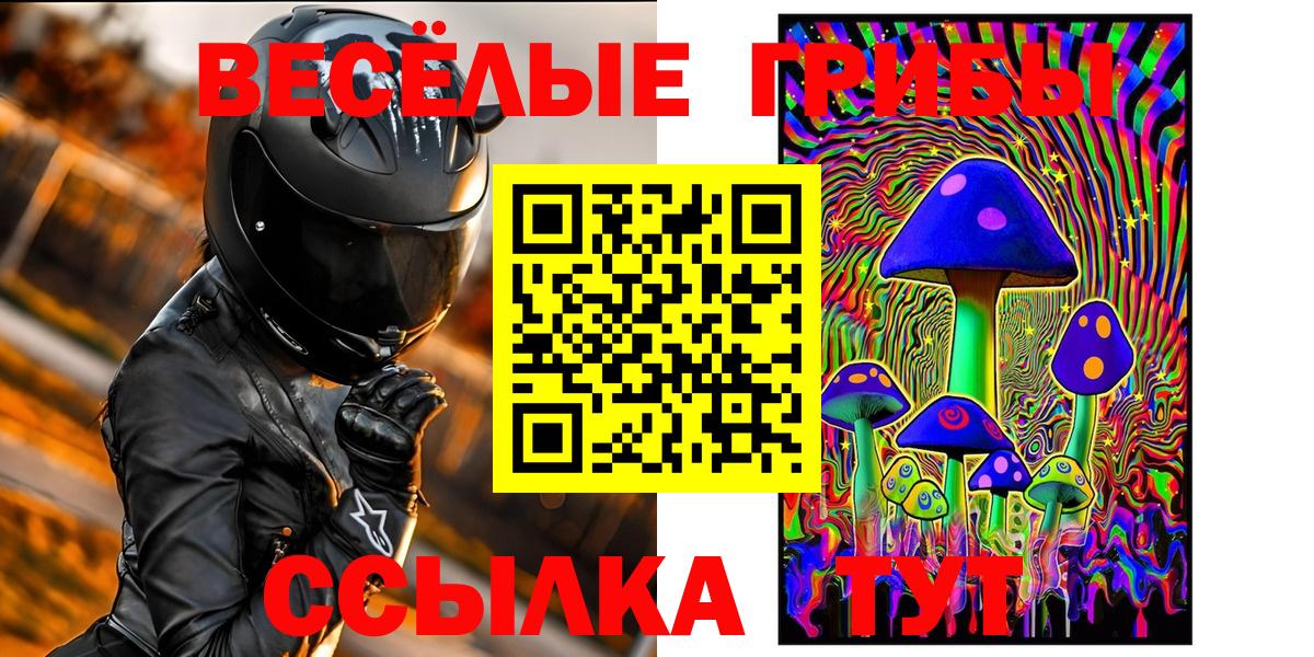 Галлюциногенные грибы Cubensis Елец