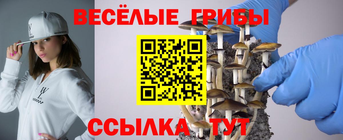 Елец  Псилоцибиновые грибы GOLDEN TEACHER  где можно купить   Вход с VPN 